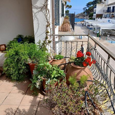 La Mejor Terraza De Tamariu Daire Dış mekan fotoğraf