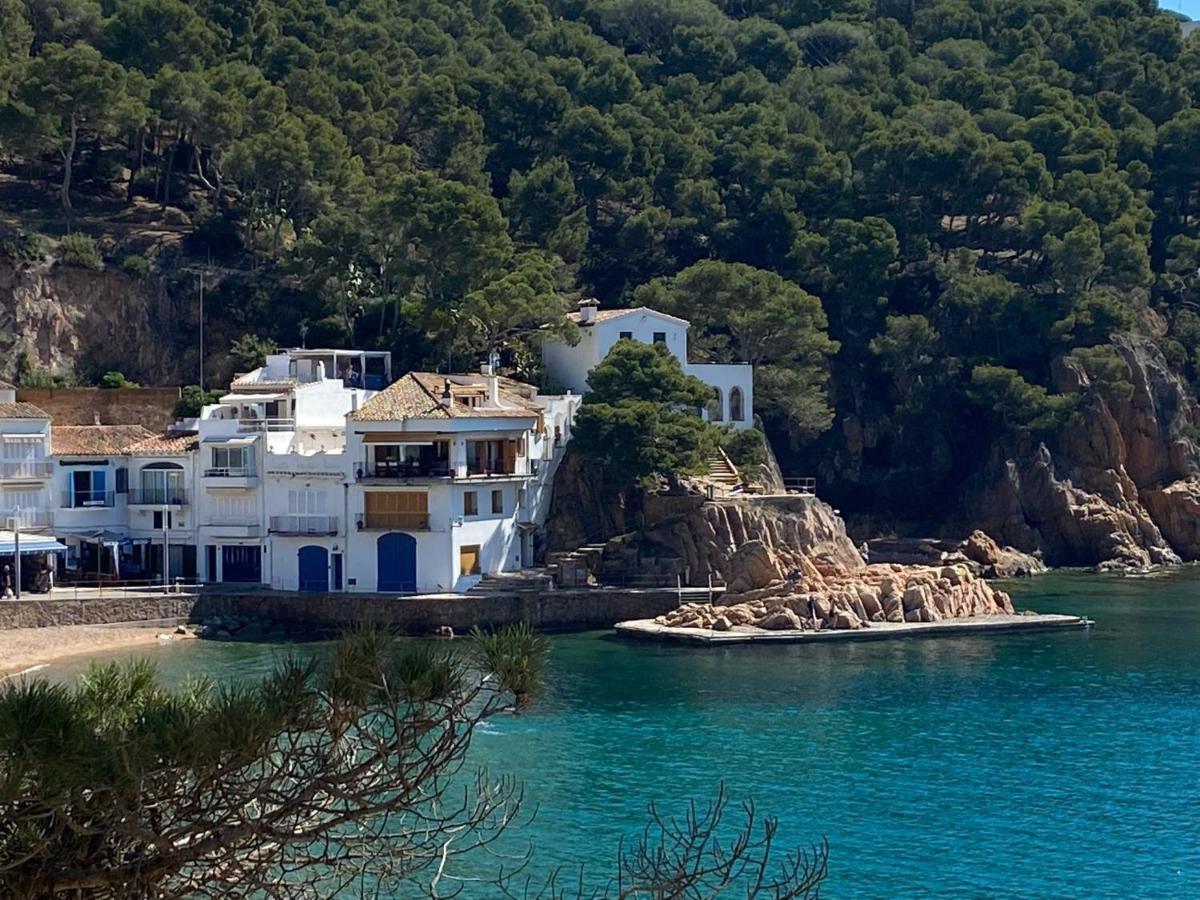 La Mejor Terraza De Tamariu Daire Dış mekan fotoğraf